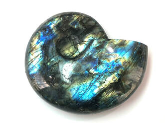Large labradorite carving in the shape of a snail shell