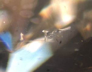 A laser drill hole is visible on the table of this marquise diamond