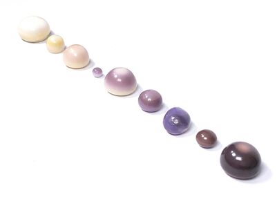Extremely rare natural quahog pearls ranging from white to purple