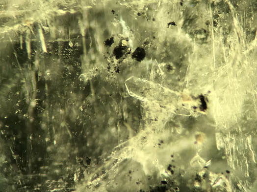 Photomicrograph of biotite, pyrite, mica and calcite crystal inclusions in a natural emerald