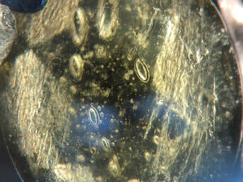 Lechatelierite & oval-shaped bubble inclusions in natural moldavite