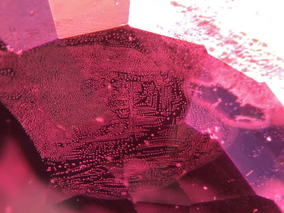 Inside a natural, untreated ruby is this fingerprint inclusion made up of thousands of microscopic liquid inclusions.