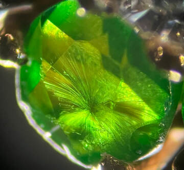 A beautiful example of a horsetail inclusion within a demantoid.  Photo by Scott Papper, GG, CMA, RGA, AJP, CSMP, CSSP