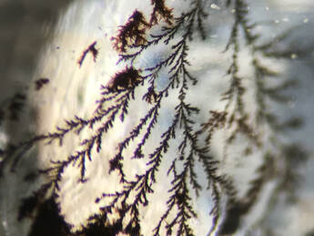 Fern-like dendrite inclusions inside a dendritic quartz