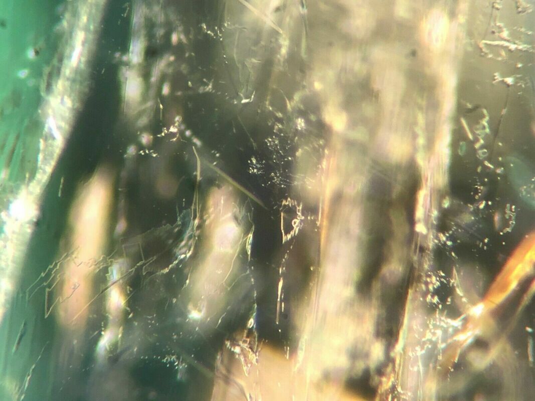 This photomicrograph displays three-phase inclusions within a natural emerald indicating it to be of Colombian origin.  Photo by Scott Papper, GG, CMA, RGA, AJP